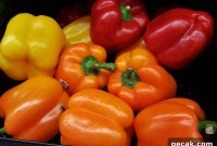 Spiced Ground Beef Stuffed Bell Peppers – Flavorful Oven-Baked Recipe