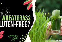 Is Wheatgrass Safe for Gluten-Free Diets?