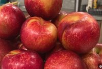 Fresh Fruit Ideas for Tailgating and Camping Snacks