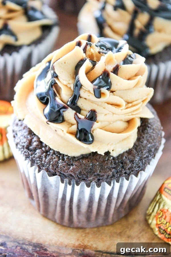 Chocolate Peanut Butter Cupcakes