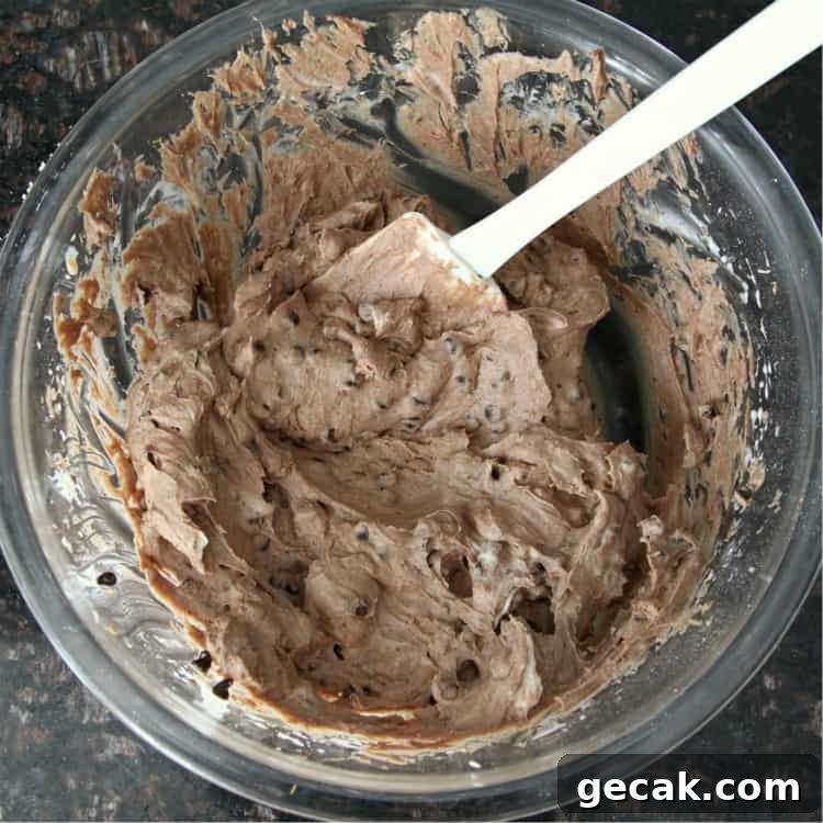 Chocolate Cannoli Dip - easy cannoli dip with chocolate chips