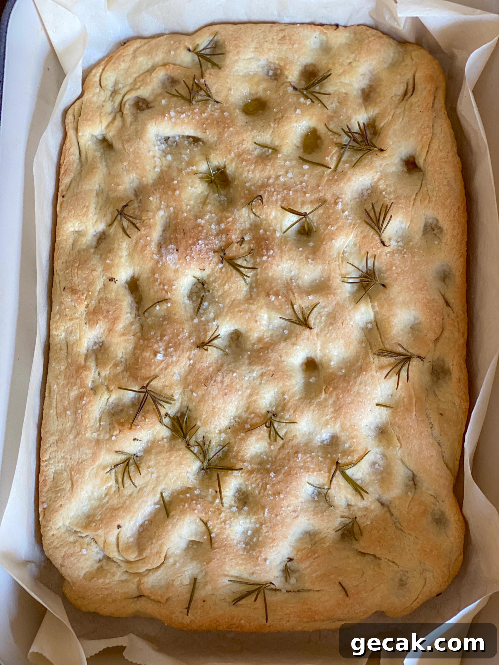 Rosemary Focaccia Rosemary Focaccia