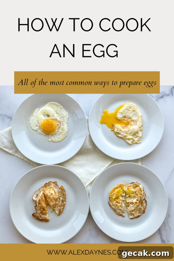 Mastering Egg Cooking: Simple Techniques for Perfect Eggs 11 img 11235 10