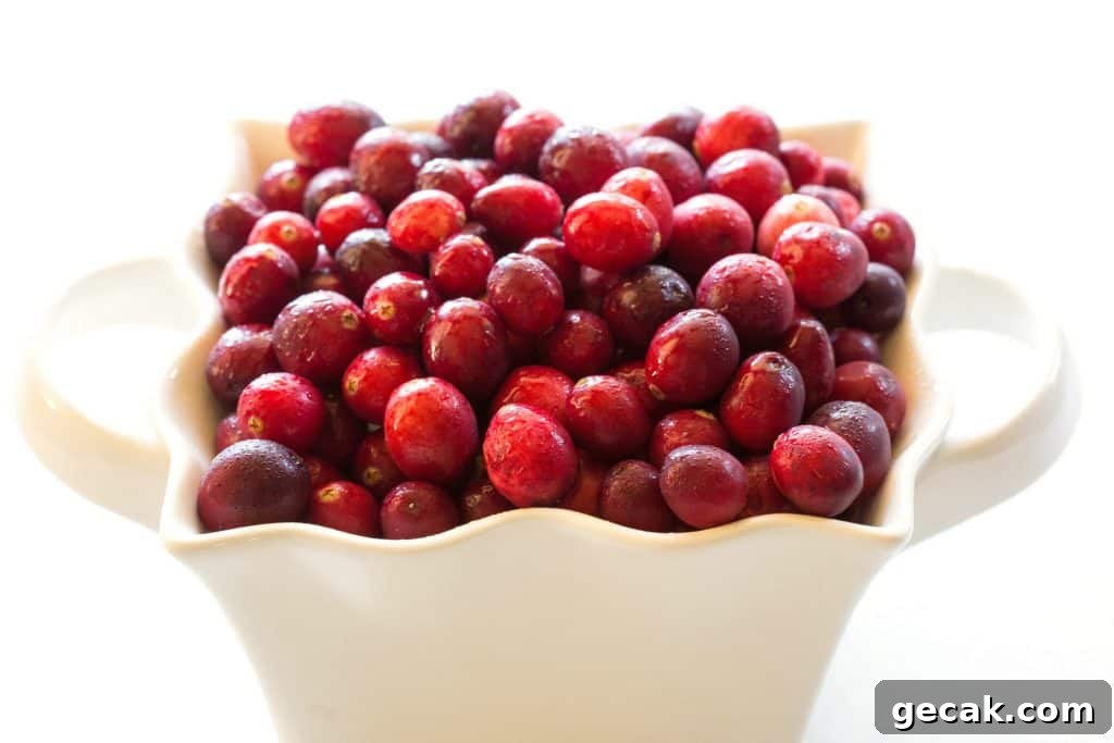 Fresh cranberries