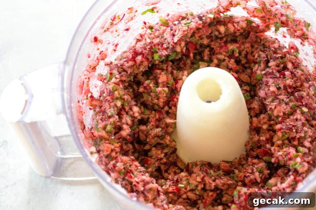 salsa in a blender