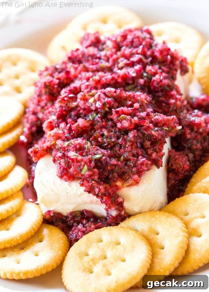 Cranberry Salsa over cream cheese