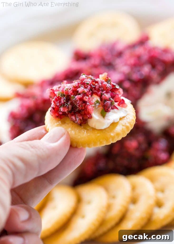cracker with cranberry salsa