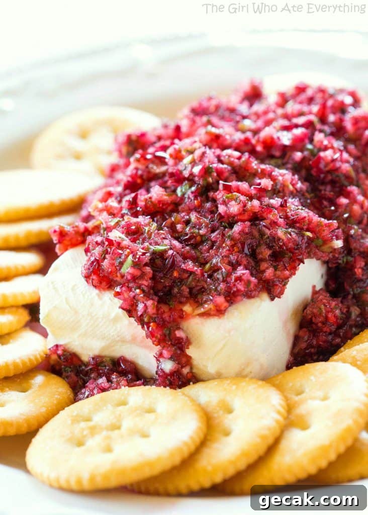 Festive cranberry salsa on cream cheese