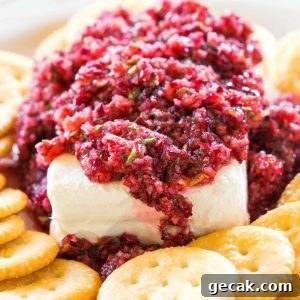 Cranberry Salsa