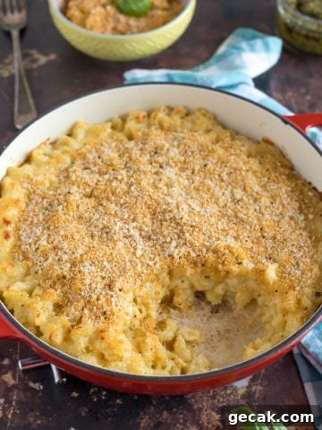 cheesy pasta with a breadcrumb topping.