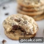 two chocolate chip cookies stacked tighter with a bite taken out of the top one