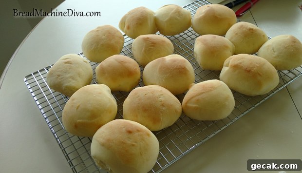 Perfectly Soft Butter Rolls Made in a Bread Machine 6 Finished Dinner Rolls