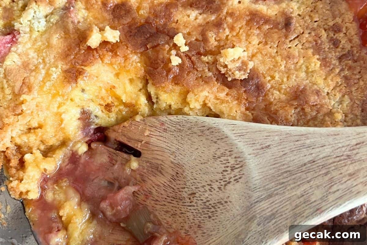 Rhubarb Dump Cake Recipe: Simple Rustic Dessert for Spring 7 Finished rhubarb cake with wooden spoon.