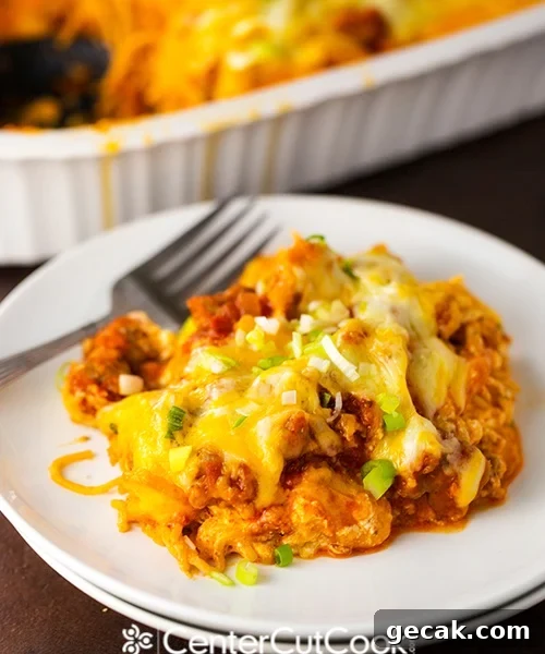 Spaghetti Pie 9.jpg Spaghetti Pie 9