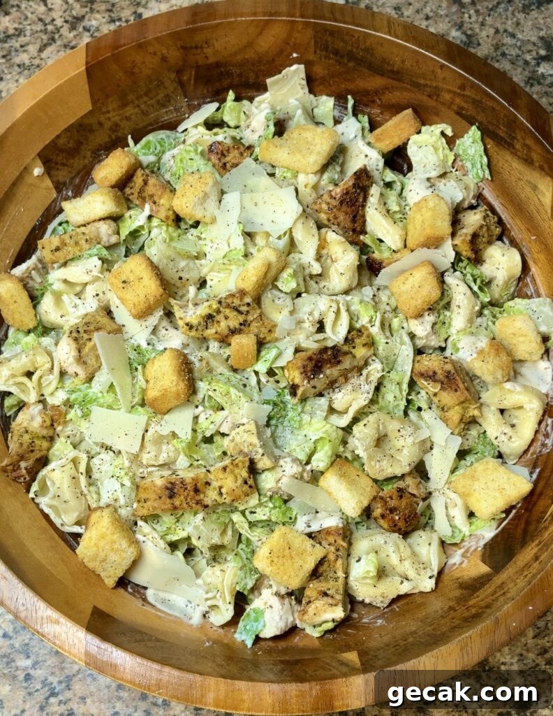 Grilled Chicken Caesar Tortellini Salad with Parmesan Croutons 2 Chicken Caesar Tortellini Salad