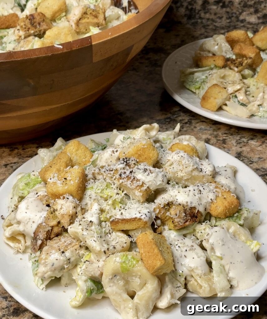 Grilled Chicken Caesar Tortellini Salad with Parmesan Croutons 3 Chicken Caesar Tortellini Salad