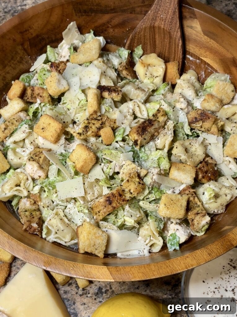 Grilled Chicken Caesar Tortellini Salad with Parmesan Croutons 15 Chicken Caesar Tortellini Salad