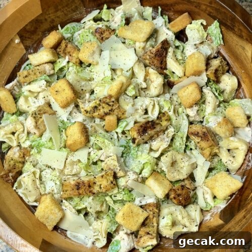 Grilled Chicken Caesar Tortellini Salad with Parmesan Croutons 16 Chicken Caesar Tortellini Salad