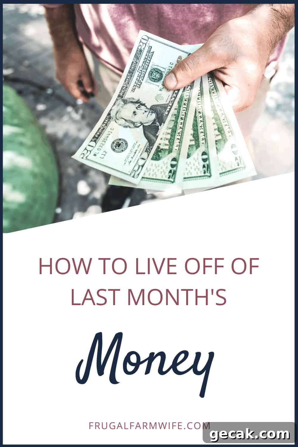 Image shows a hand holding several $20 bills with text that reads 