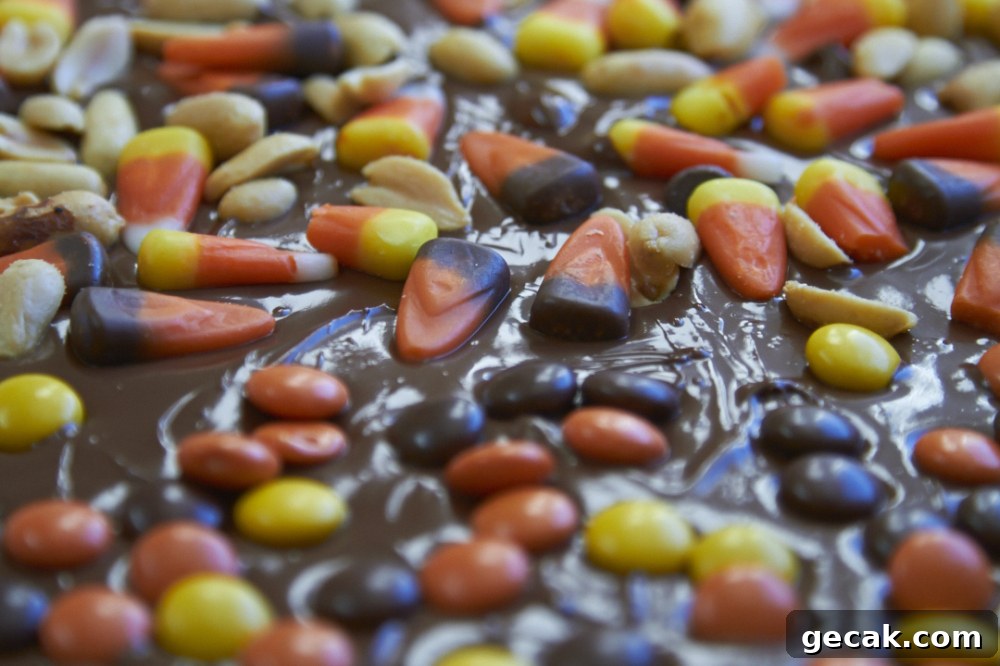Candy corn and nuts on top of melted chocolate.