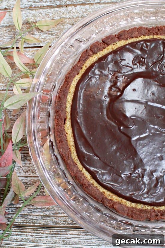 A shortbread cocoa crust holds a peanut butter filling topped with a rich ganache.