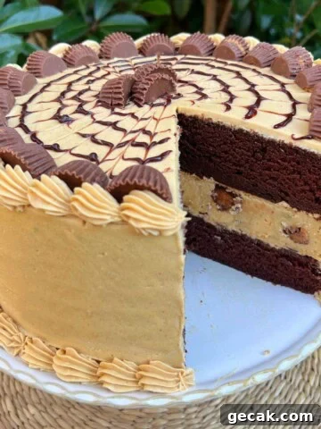 Sliced Chocolate Peanut Butter Cheesecake Cake.