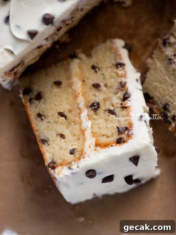 Slice of 2 layer chocolate chip cake on it's side on a brown paper background.
