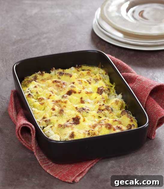 Cauliflower Gratin Recipe