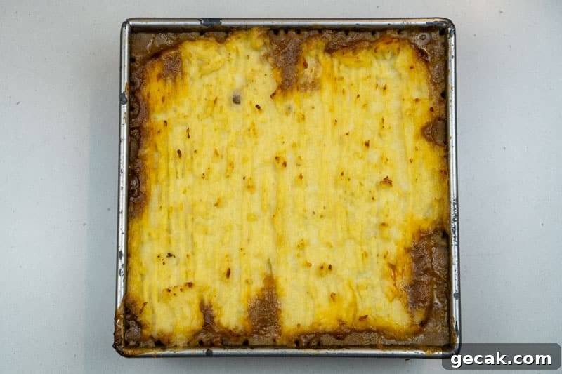 Baked cottage pie