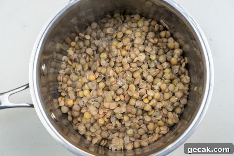 Cooking the lentils