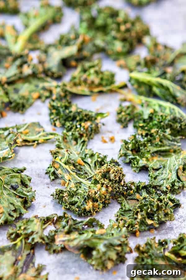 front view of baked kale chips coated with cheese on a baking tray