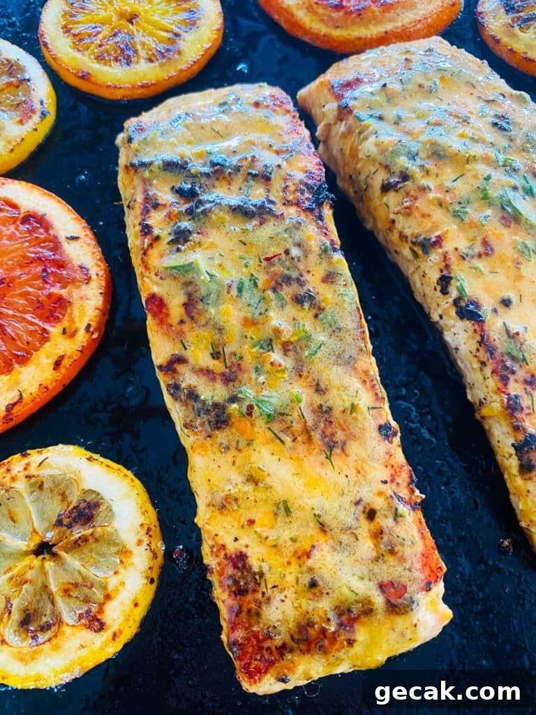 Blackstone Citrus Herb Salmon