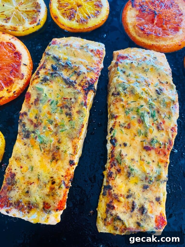 Blackstone Citrus Herb Salmon