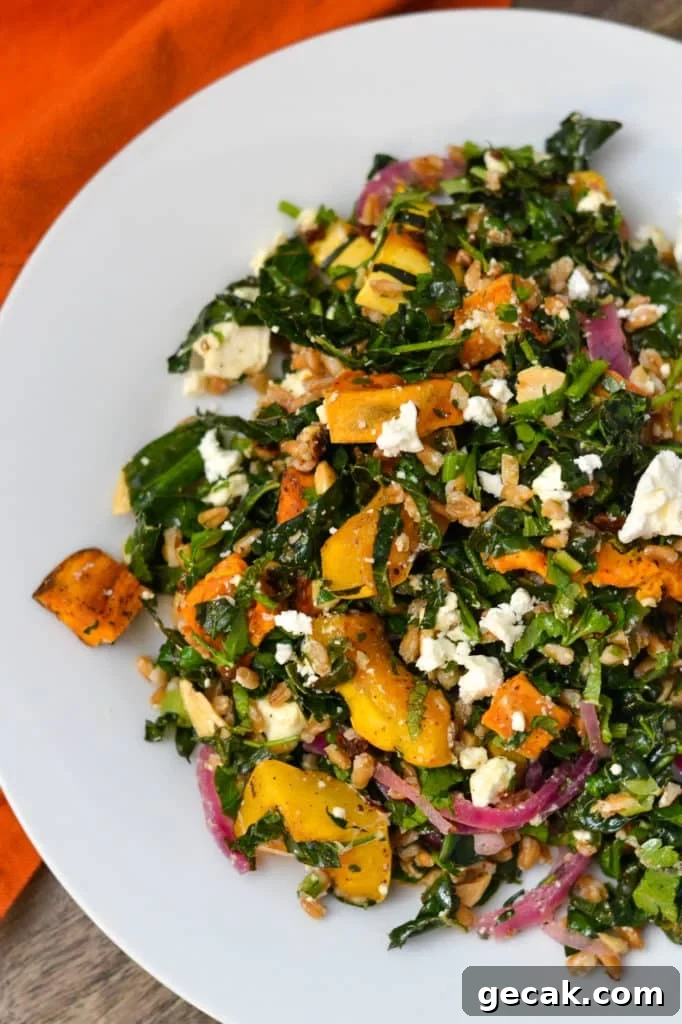Mediterranean Roasted Squash and Farro Salad Recipe 2 Roasted squash salad
