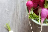 Beach Picnic with Crunchy Radish Salad: Refreshing Summer Menu