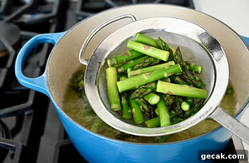 Creamy Asparagus Pesto Pasta with Parmesan 3 Blanched asparagus in a strainer over a large pot filled with water