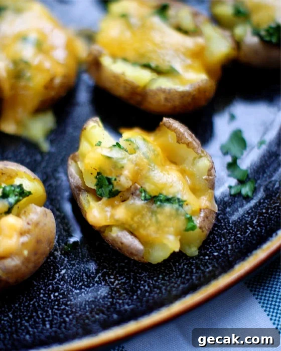 Close Up of Smashed Potato Bites with cheddar cheese