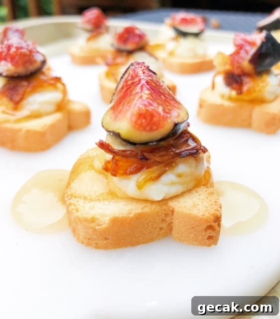 mini canape toast topped with cheese and a fig
