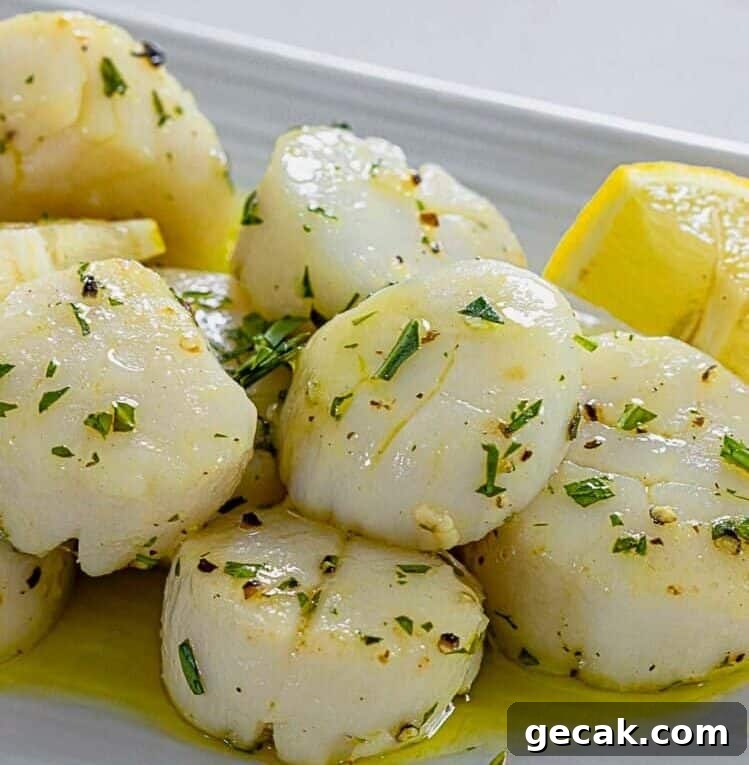 Air fryer scallops on a white plate.