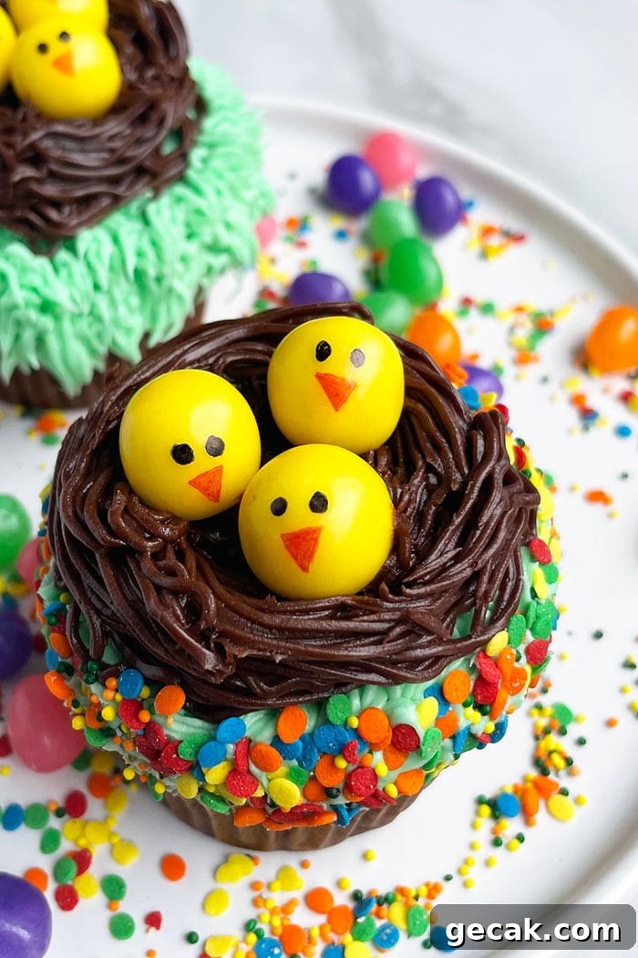 Easy Nest Cupcakes With Yellow Chicks- Overhead Shot