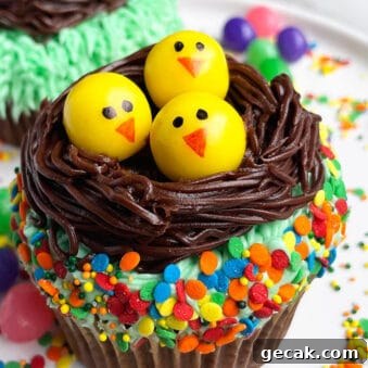 Easy Easter Cupcakes (Chick Cupcakes or Nest Cupcakes) on White Plate With Sprinkles