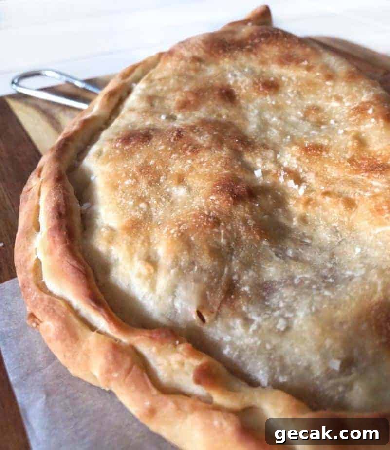 a single large baked calzone