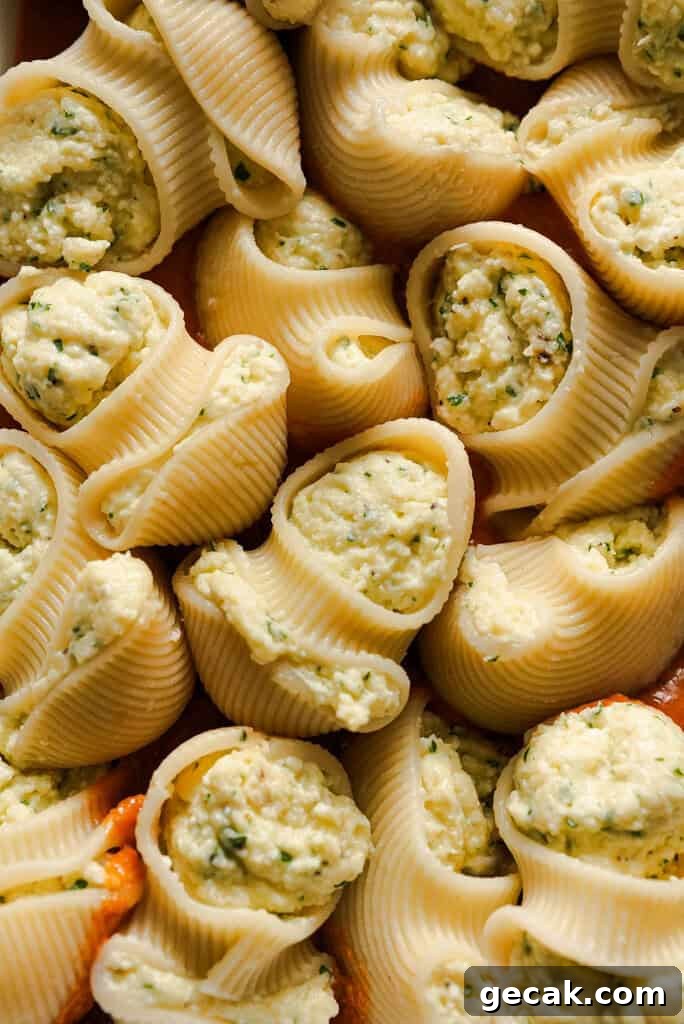 Vodka Ricotta Stuffed Pasta Bake with Creamy Tomato Sauce 12 Cooked lumaconi pasta shells stuffed with a creamy cheese filling, arranged in a baking dish before being covered in sauce.