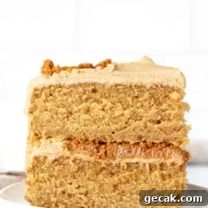 Slice of Biscoff cake