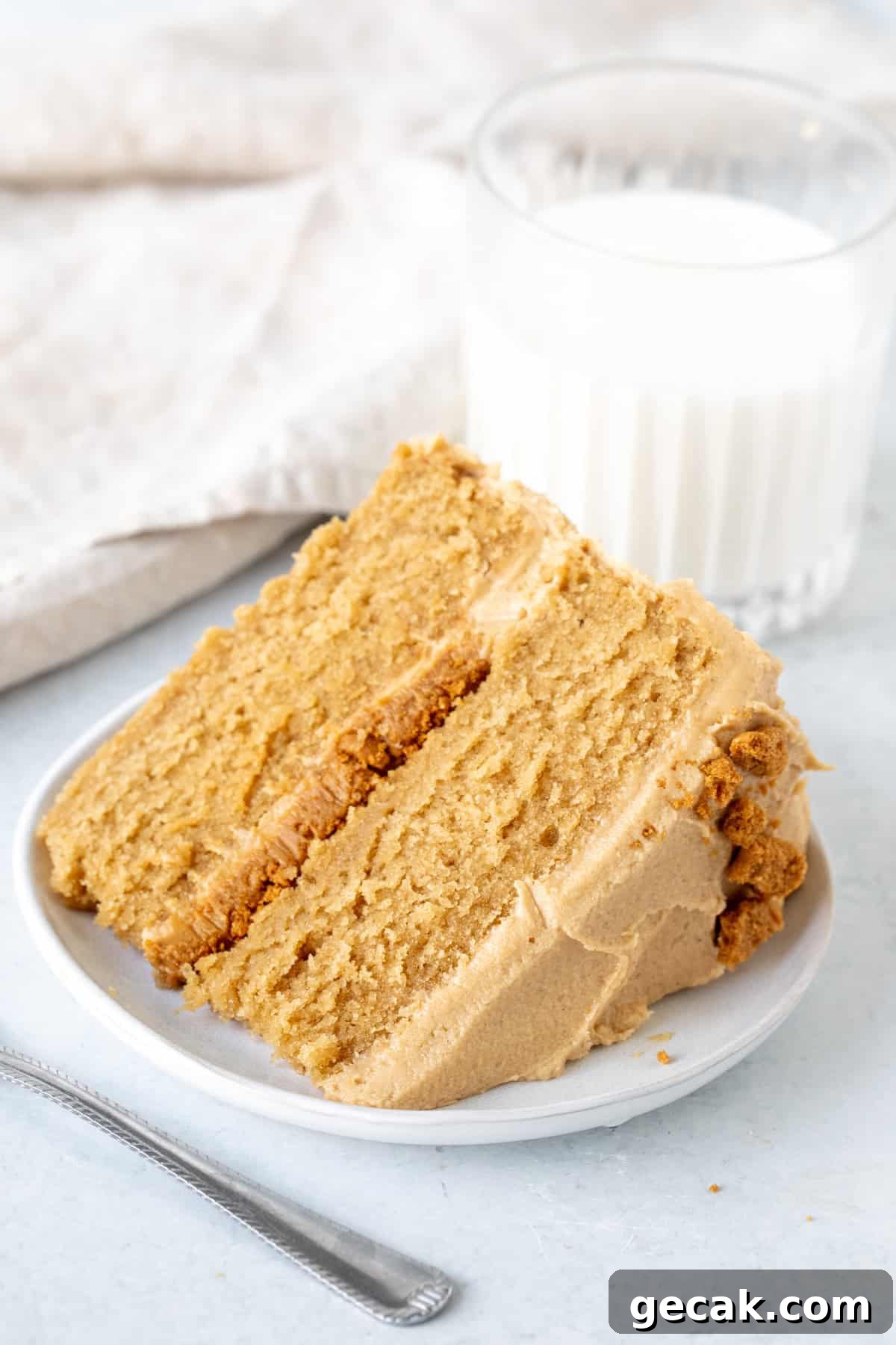Slice of Biscoff cake with frosting and filling