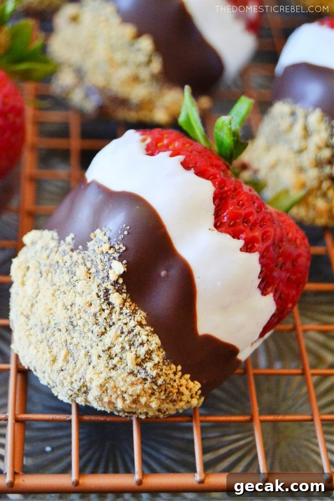 S'mores-Dipped Strawberries: Gooey Chocolate & Marshmallow Treats 4 a closeup of a huge s'mores dipped strawberries
