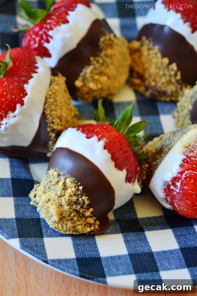 S'mores-Dipped Strawberries: Gooey Chocolate & Marshmallow Treats 5 a blue gingham plate with s'mores dipped strawberries