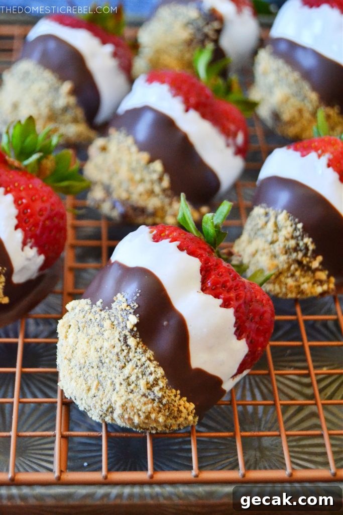 S'mores-Dipped Strawberries: Gooey Chocolate & Marshmallow Treats 6 a tray filled with s'mores dipped strawberries