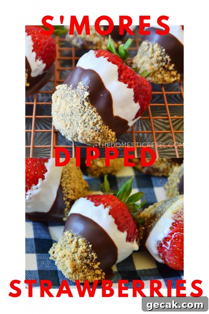 S'mores-Dipped Strawberries: Gooey Chocolate & Marshmallow Treats 9 s'mores dipped strawberries photo collage