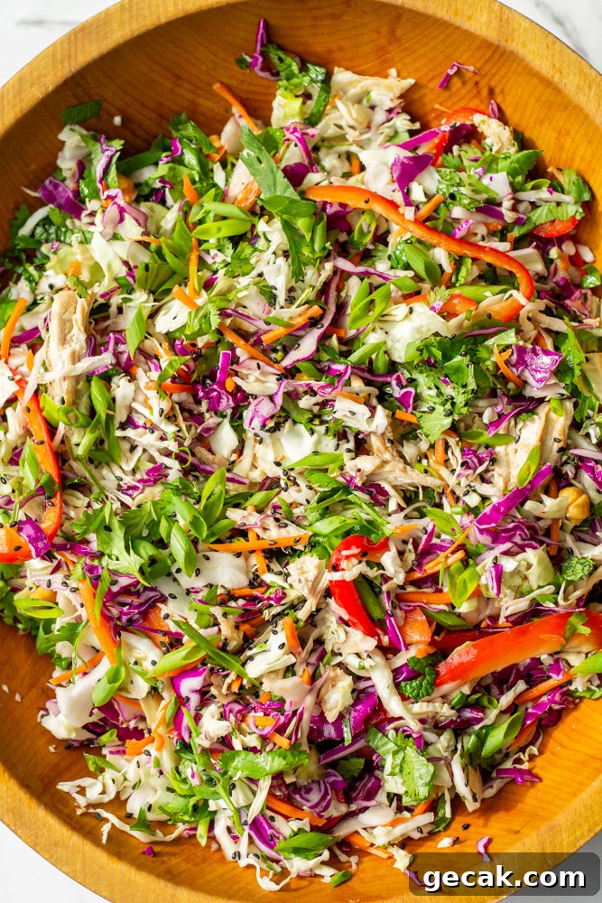 Crispy Chinese Chicken Salad with Sesame-Ginger Dressing 2 Chinese Chicken Salad
